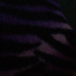 Meet your Posher, Jayla